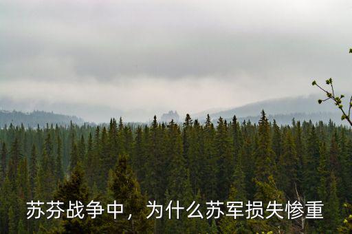 蘇芬戰爭中，為什么蘇軍損失慘重