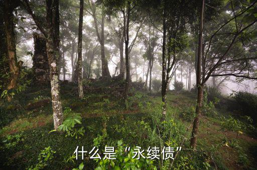永續期什么意思,什么是永續債