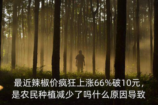 最近辣椒價瘋狂上漲66%破10元，是農民種植減少了嗎什么原因導致