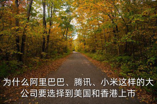 為什么阿里巴巴、騰訊、小米這樣的大公司要選擇到美國和香港上市