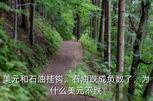 美元和石油掛鉤，石油跌成負數了，為什么美元不跌