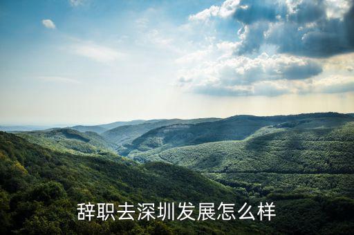 深圳天威公司工程師怎么樣,辭職去深圳發展怎么樣