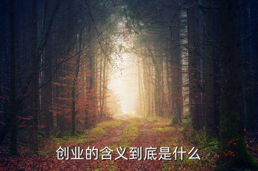 什么叫創業,你覺得創業的定義是什么