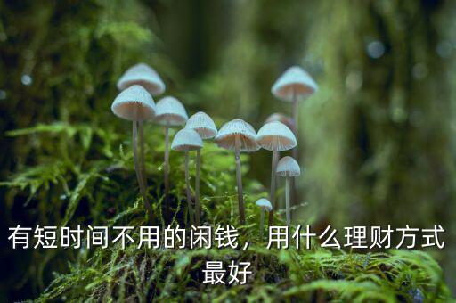現在用什么理財,用什么理財方式最好