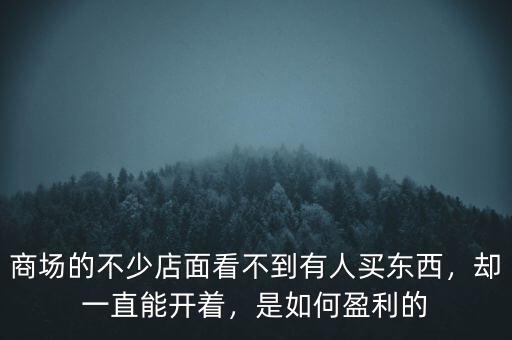 商場的不少店面看不到有人買東西，卻一直能開著，是如何盈利的