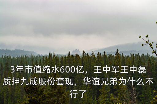 3年市值縮水600億，王中軍王中磊質(zhì)押九成股份套現(xiàn)，華誼兄弟為什么不行了