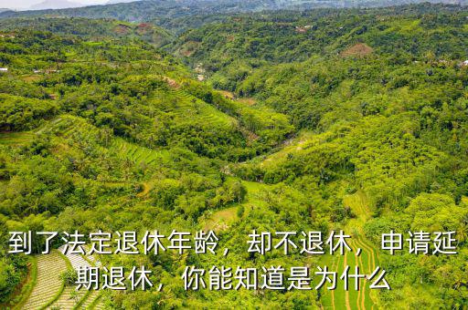 到了法定退休年齡，卻不退休，申請(qǐng)延期退休，你能知道是為什么
