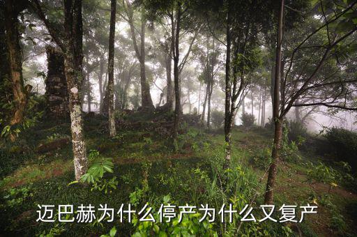 邁巴赫為什么停產為什么又復產