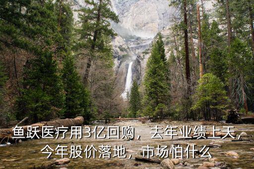 魚躍醫療什么時候能通過,魚躍醫療能分一杯羹嗎
