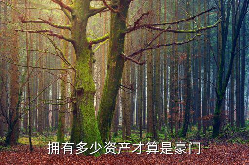 擁有多少資產才算是豪門