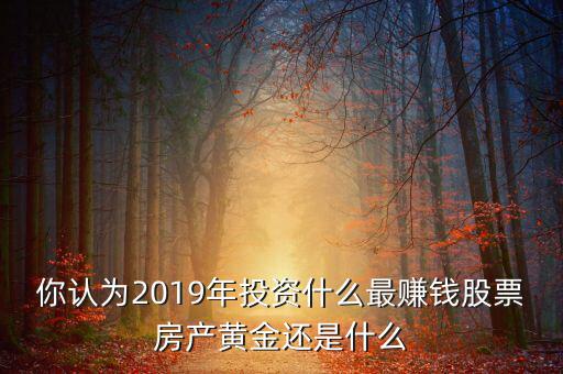 你認為2019年投資什么最賺錢股票房產黃金還是什么