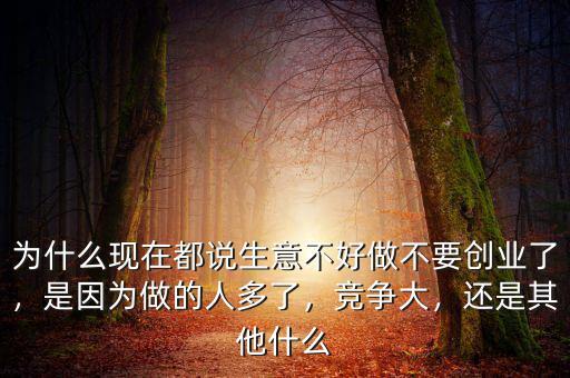為什么現在都說生意不好做不要創業了，是因為做的人多了，競爭大，還是其他什么