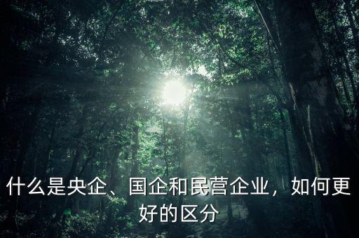 什么是央企、國企和民營企業，如何更好的區分