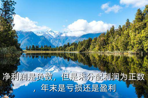 為什么說利潤是個絕對數,凈利潤是負數