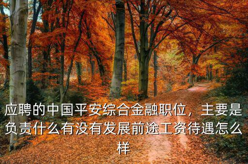 應聘的中國平安綜合金融職位，主要是負責什么有沒有發展前途工資待遇怎么樣