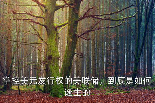掌控美元發(fā)行權的美聯(lián)儲，到底是如何誕生的