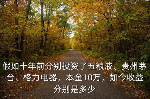 假如十年前分別投資了五糧液、貴州茅臺、格力電器，本金10萬，如今收益分別是多少