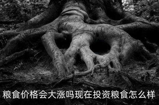 投資糧食銀行需要多少資金,現在投資糧食怎么樣