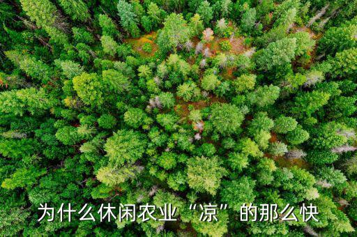為什么休閑農業“涼”的那么快