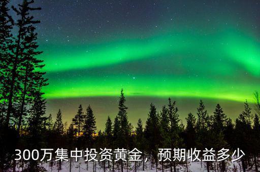 300萬集中投資黃金，預(yù)期收益多少