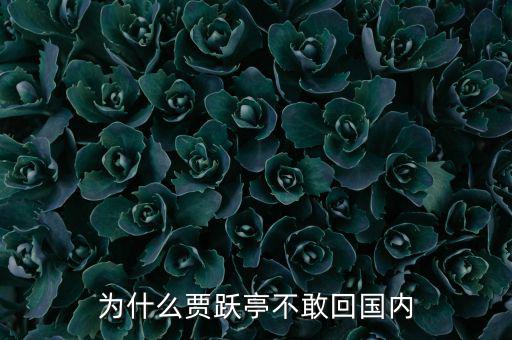 賈躍亭為什么跑到國外,為什么賈躍亭不敢回國內