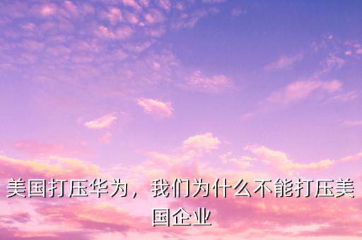 美國打壓華為，我們為什么不能打壓美國企業