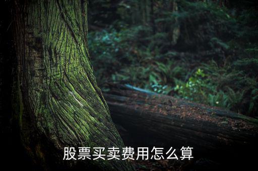 炒股的手續費怎么算,股票買賣費用怎么算的
