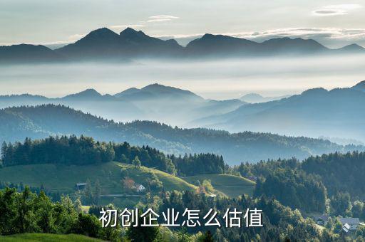初創公司的估值怎么算,初創企業怎么估值