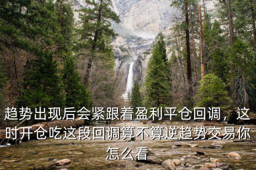 趨勢交易法中的回調浪怎么數,在進行趨勢交易中