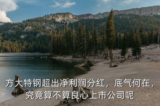 方大特鋼超出凈利潤分紅，底氣何在，究竟算不算良心上市公司呢
