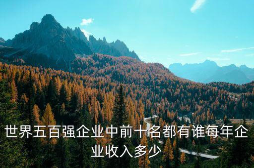世界五百強企業中前十名都有誰每年企業收入多少
