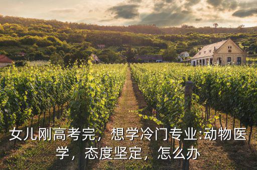 冷門專業畢業生怎么辦,想學冷門專業:動物醫學