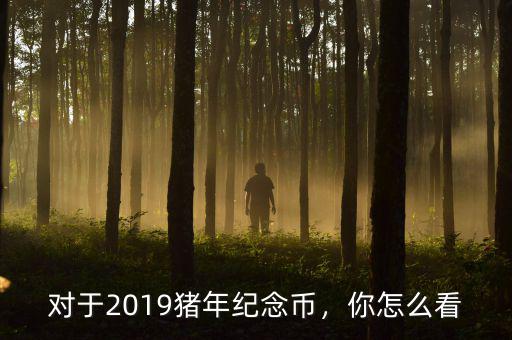 對于2019豬年紀念幣，你怎么看