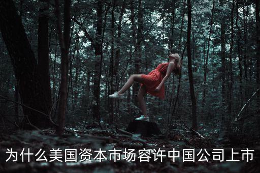 為什么美國上市,阿里已經在美國上市