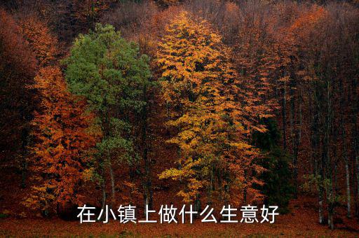 在小鎮上做什么生意好