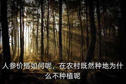 人參價格如何呢，在農村既然種地為什么不種植呢