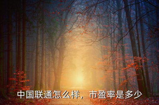 中國聯通怎么樣，市盈率是多少