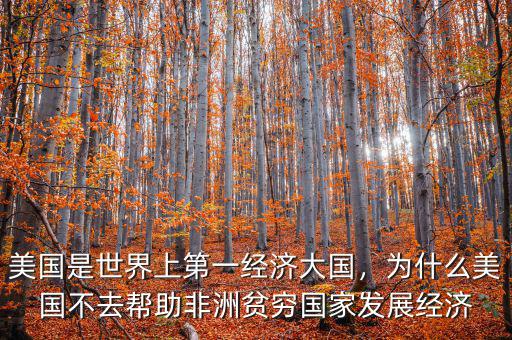 美國是世界上第一經濟大國，為什么美國不去幫助非洲貧窮國家發展經濟
