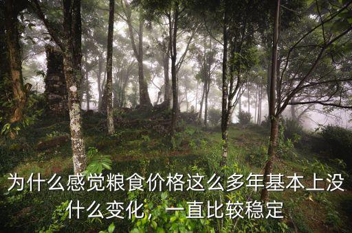 為什么感覺糧食價格這么多年基本上沒什么變化，一直比較穩定