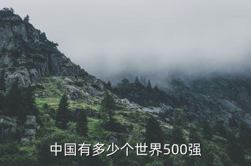 2013年中國有多少世界500強企業,中國有幾家世界500強民企