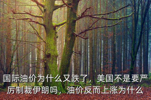 國際油價為什么又跌了，美國不是要嚴厲制裁伊朗嗎，油價反而上漲為什么