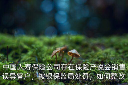 中國人壽保險公司存在保險產(chǎn)說會銷售誤導(dǎo)客戶，被銀保監(jiān)局處罰，如何整改