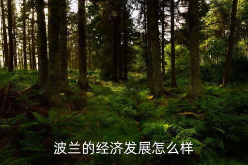 波蘭現在經濟怎么樣,波蘭生產汽車嗎
