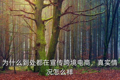中國為什么要發展跨境電商,為什么到處都在宣傳跨境電商