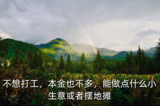 不想打工，本金也不多，能做點什么小生意或者擺地攤
