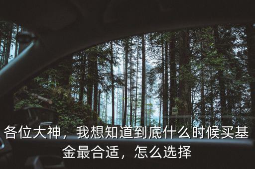 各位大神，我想知道到底什么時(shí)候買基金最合適，怎么選擇