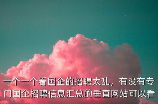 一個一個看國企的招聘太亂，有沒有專門國企招聘信息匯總的垂直網站可以看