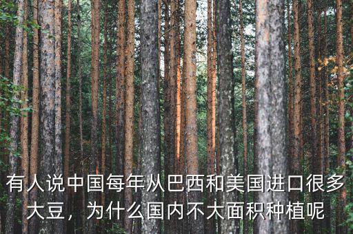 有人說中國每年從巴西和美國進口很多大豆，為什么國內不大面積種植呢