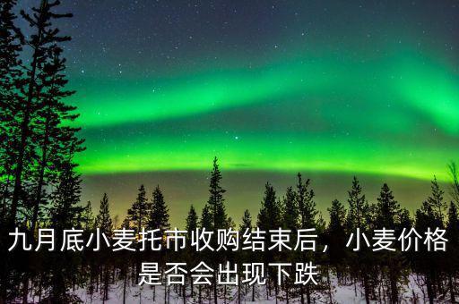九月底小麥托市收購結束后，小麥價格是否會出現下跌