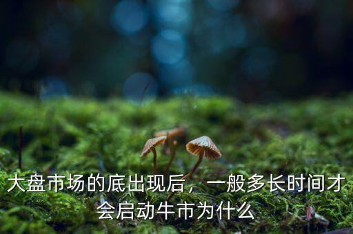 2015年大盤的底是多少,大盤市場的底出現后